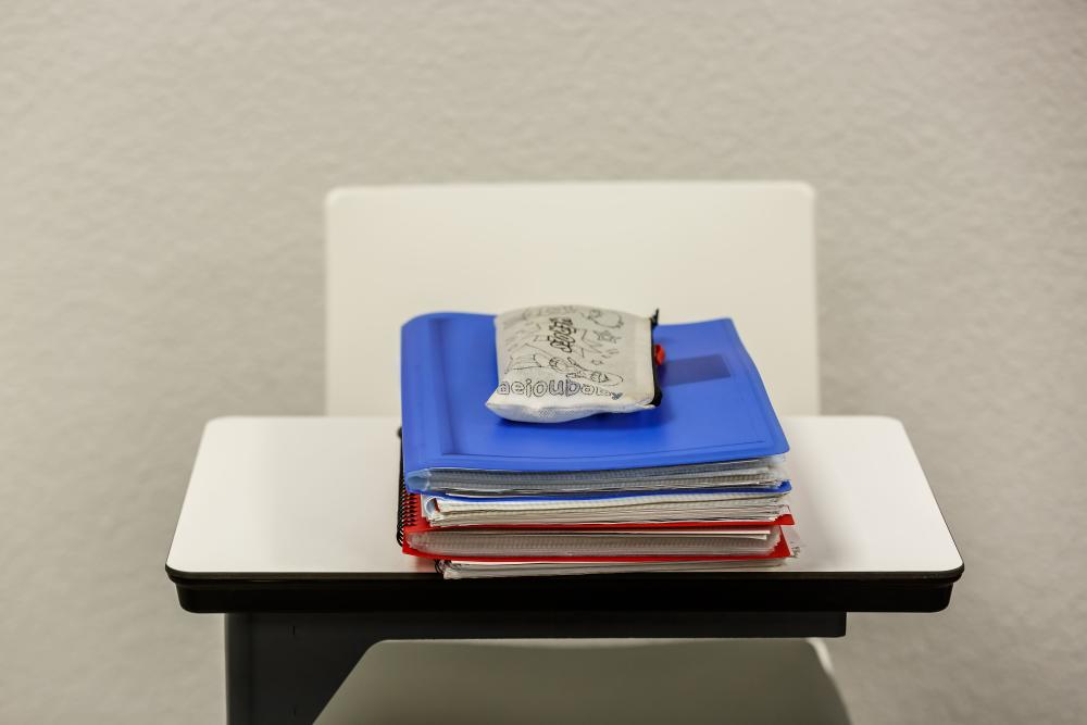 A1etik C2ra: Zer esan nahi dute euskara mailek praktikan?